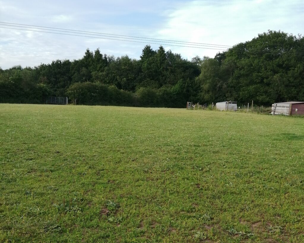 Field at Park Hill Farm