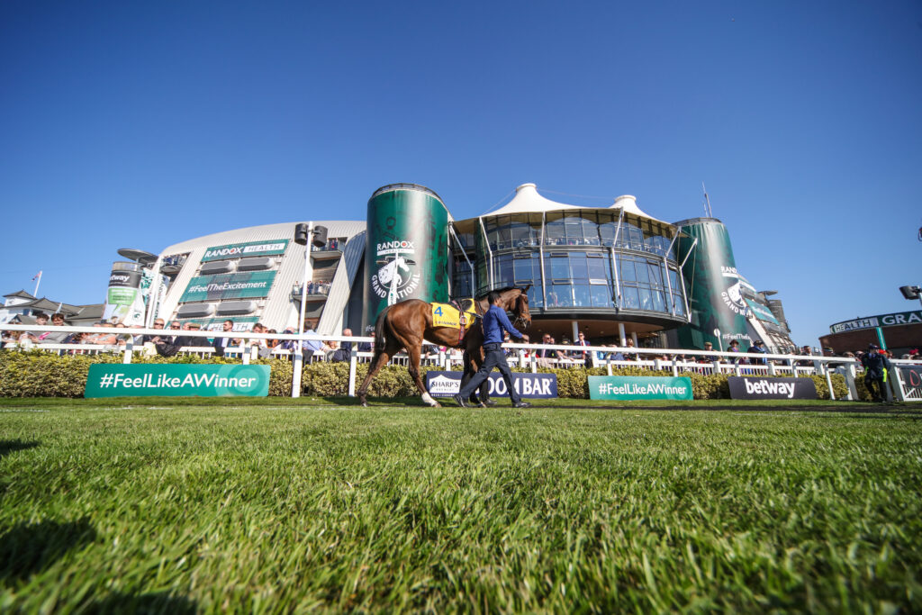 A horse at Aintree